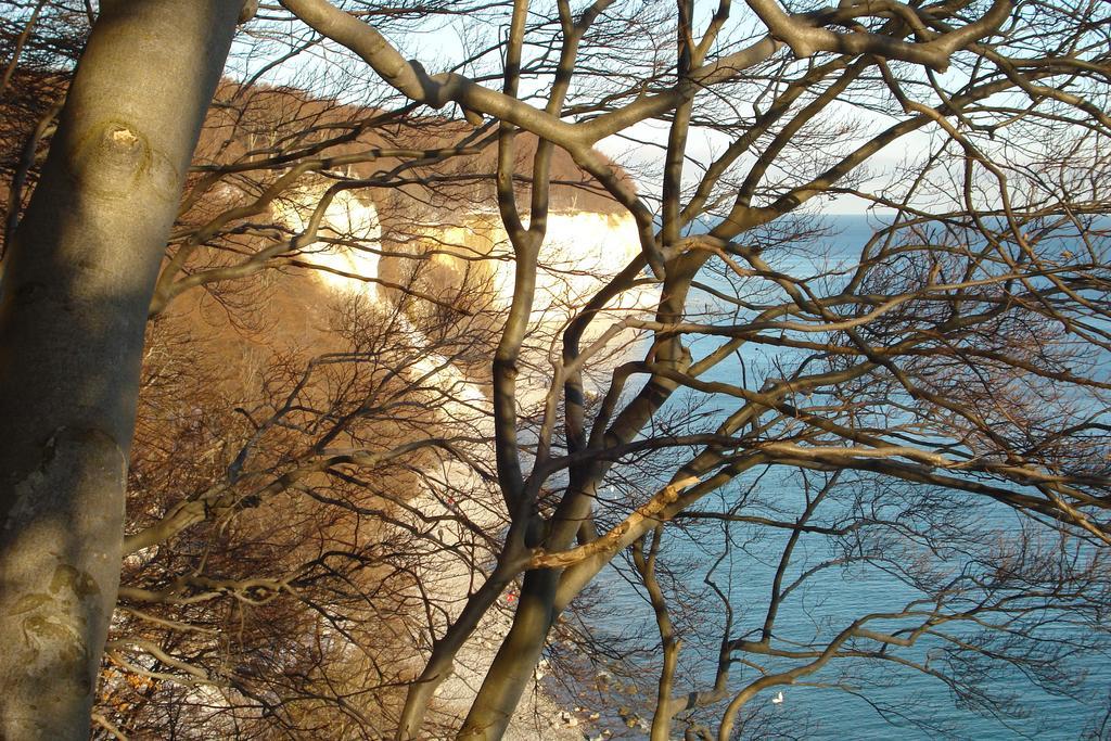 Ferienwohnung In Sassnitz Ruegen Naehe Weltnaturerbe Kreidekueste 외부 사진
