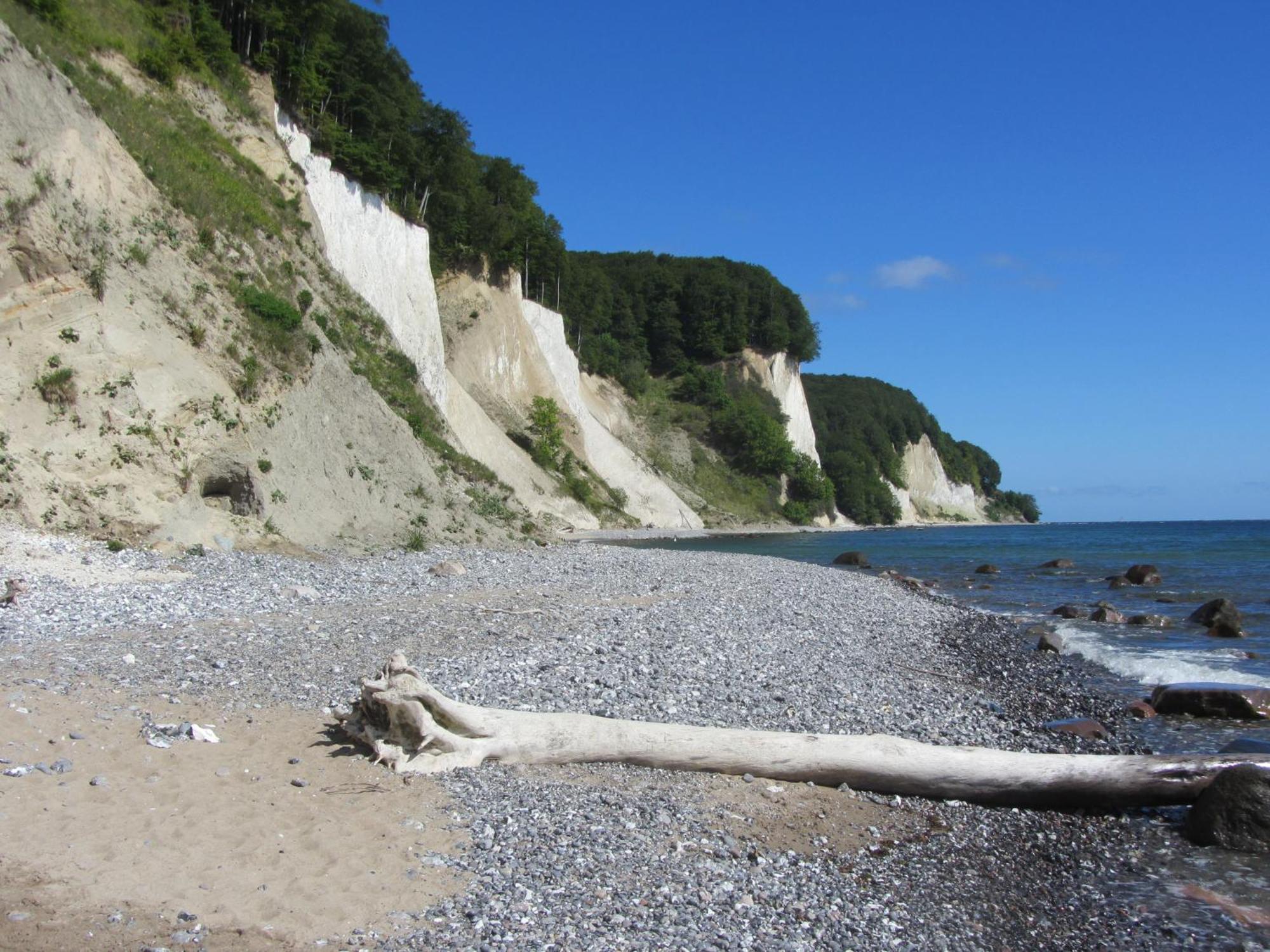 Ferienwohnung In Sassnitz Ruegen Naehe Weltnaturerbe Kreidekueste 외부 사진