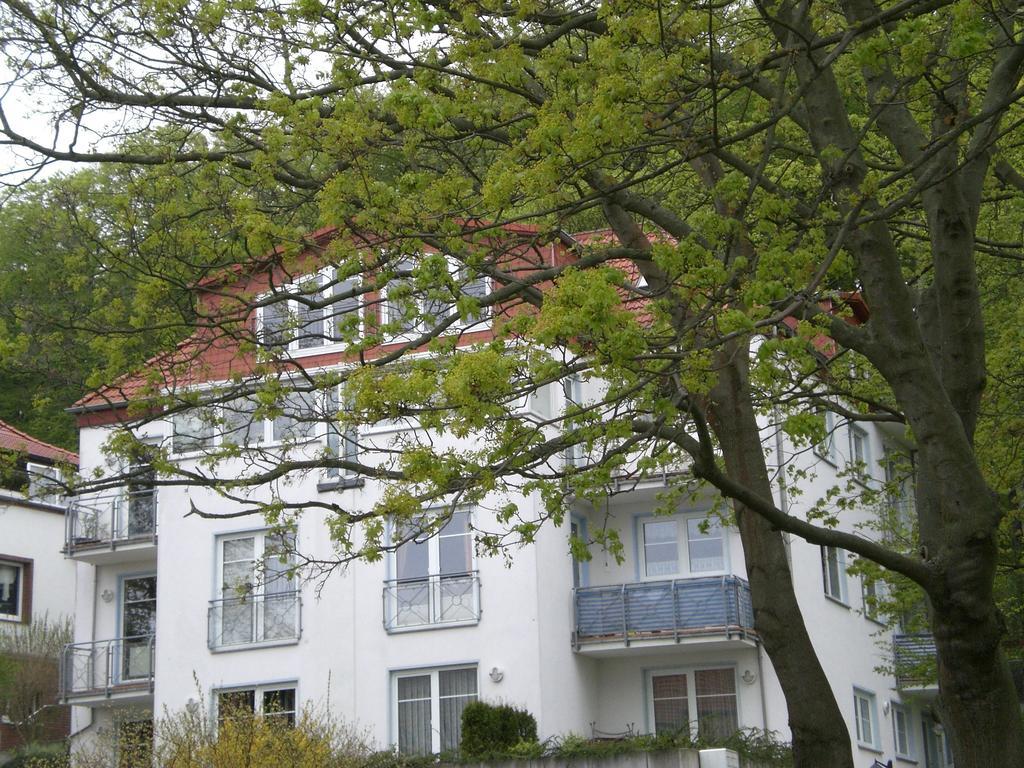 Ferienwohnung In Sassnitz Ruegen Naehe Weltnaturerbe Kreidekueste 외부 사진