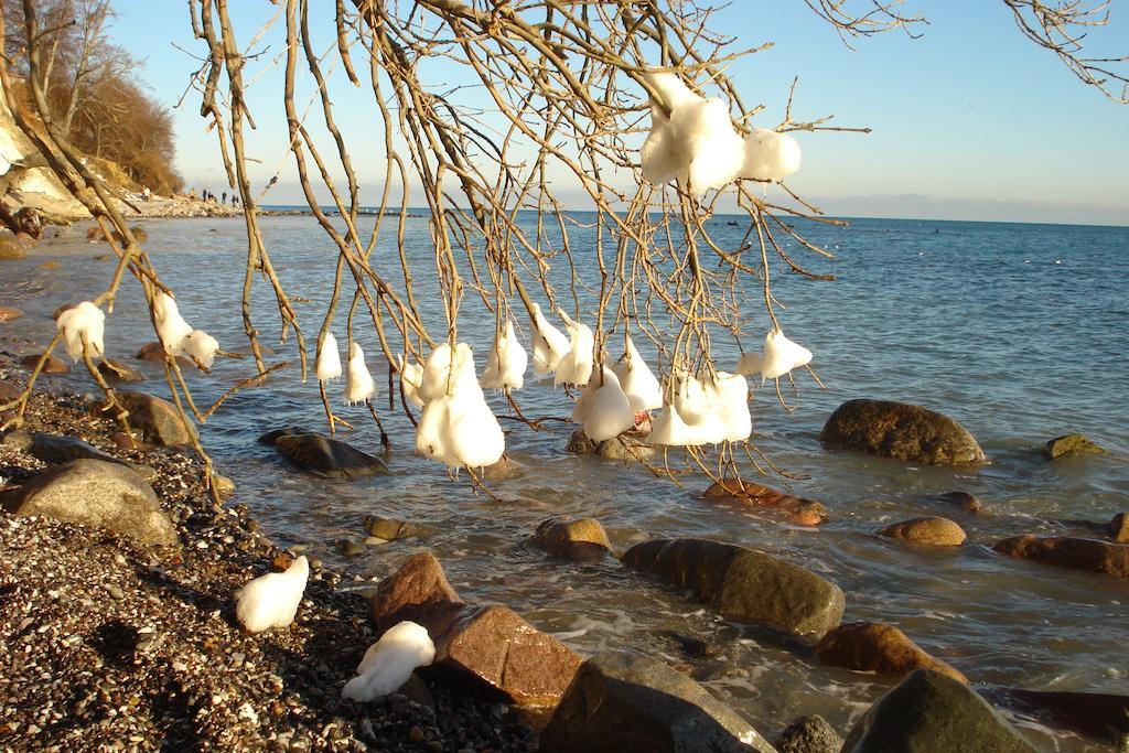 Ferienwohnung In Sassnitz Ruegen Naehe Weltnaturerbe Kreidekueste 외부 사진
