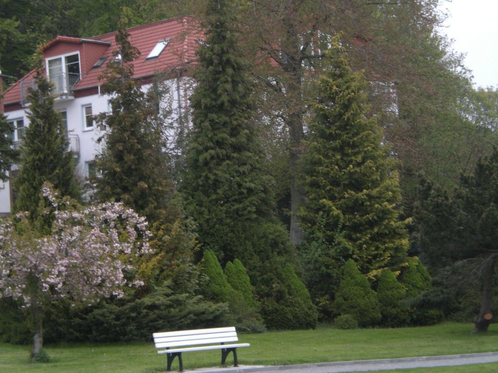 Ferienwohnung In Sassnitz Ruegen Naehe Weltnaturerbe Kreidekueste 외부 사진