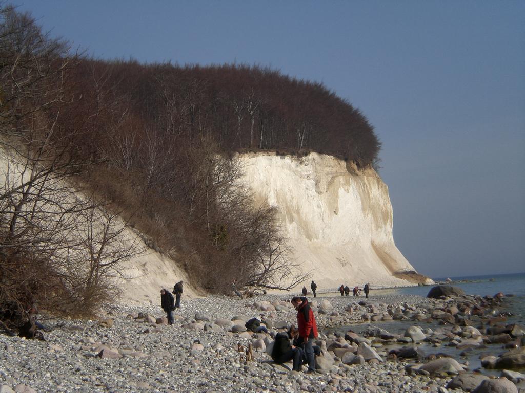 Ferienwohnung In Sassnitz Ruegen Naehe Weltnaturerbe Kreidekueste 외부 사진