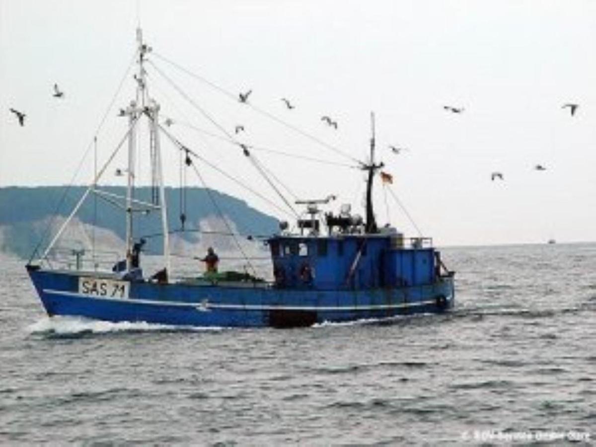 Ferienwohnung In Sassnitz Ruegen Naehe Weltnaturerbe Kreidekueste 외부 사진
